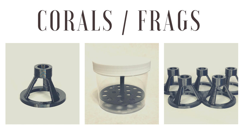 Coral / Frag Supplies