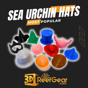 Sea Urchin Hats